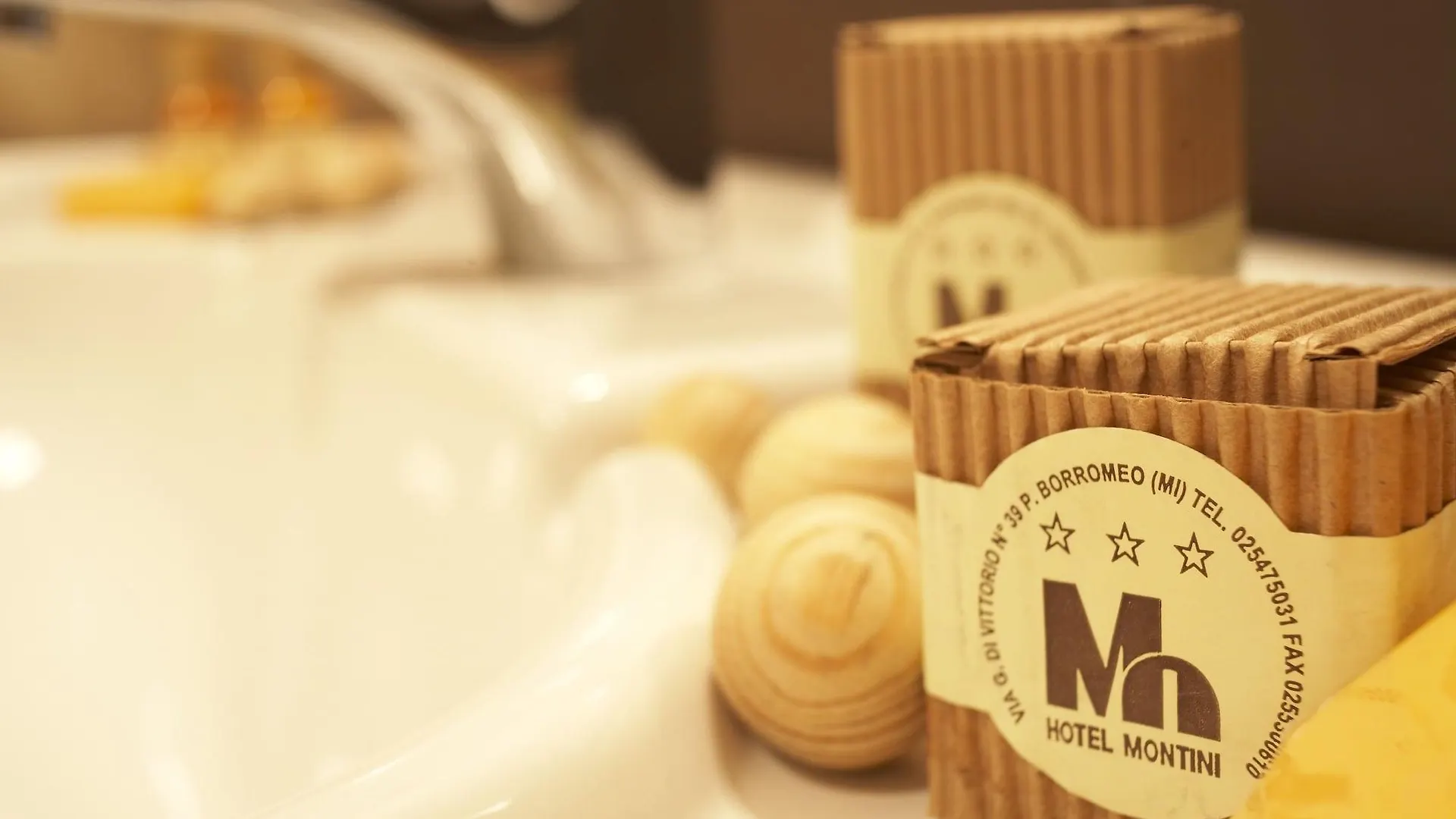 Hotel Montini Linate Airport Пескьера-Борромео Италия