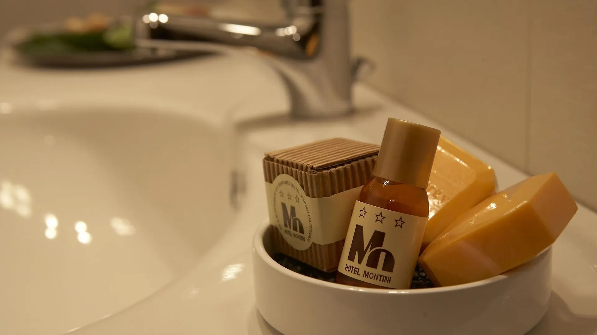 Hotel Montini Linate Airport Пескьера-Борромео 3*,  Италия